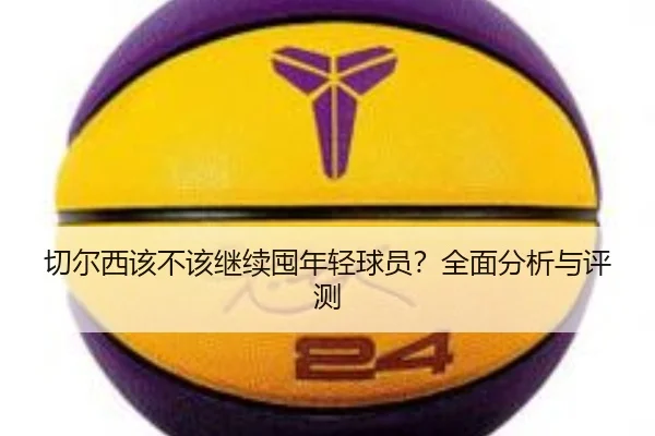 切尔西该不该继续囤年轻球员？全面分析与评测